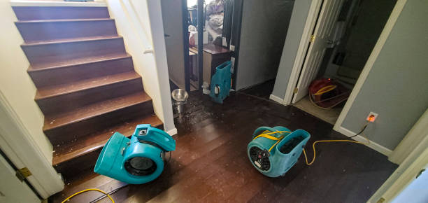 Best Flooded house restoration  in Burlingame, CA