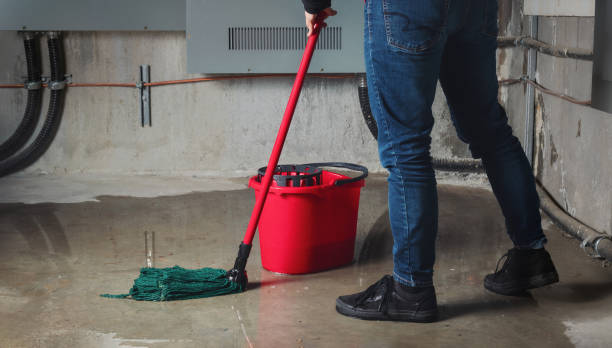 Best Water damage contractors near me  in Burlingame, CA