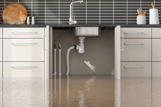 Best Fire Damage Restoration  in Burlingame, CA